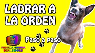 ENSEÑAR el LADRIDO A LA ORDEN  Adiestramiento para perros [upl. by Annah144]