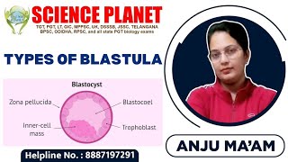 Types of Blastula II BY ANJU MAM II SCIENCE PLANET II [upl. by Refinney92]