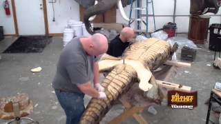 Taxidermy Time Lapse  Crocodile [upl. by Elephus]