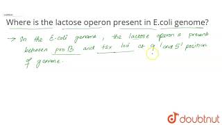 Where is the lactose operon present in Ecoli genome [upl. by Nwaf]