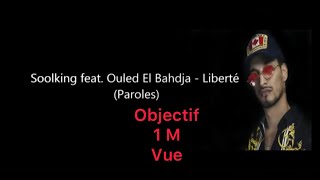 Soolking feat Ouled El Bahdja  La Liberté Paroles [upl. by Nolra]