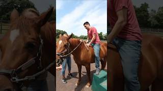 Riding a Horse for the FIRST TIME [upl. by Musihc]