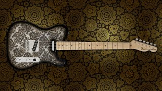 Fender MIJ Black Paisley Telecaster [upl. by Eemla570]