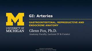 GI Arteries [upl. by Hunfredo]