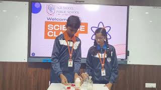 Reaction of hydrochloric acid with zinc metal Experiment by 8th Grade Students [upl. by Ahsiyt]