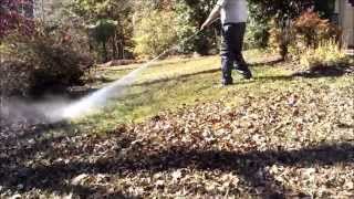 Easiest Way to get the Leaves off your lawn [upl. by Hose]