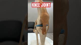 Knee joint  orthopedics bestorthodoctor footcondition doctorabin motivation ortho [upl. by Atter]