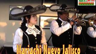 FLOR SIN RETOÑO  CANTA EL CHARRITO DE ORO  MARIACHI NUEVO JALISCO  5681512  989993475 [upl. by Ahsiekyt554]