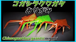 コガシラクワガタおりがみChiasognathus grantiiDarwins beetle Origami雄鹿折纸코가시라쿠와가타 종이 접기 [upl. by Adorl454]