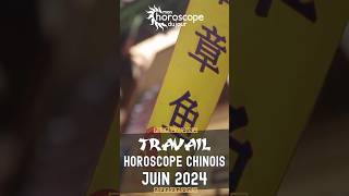 Votre Horoscope Chinois mensuel de Juin 2024 Travail [upl. by Gnourt]