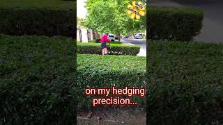 Problem with Batteries hedging gardening daisy timelapse shorts [upl. by Ayyidas702]