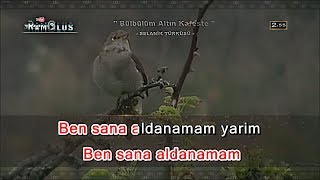 AĞLATAN TÜRKÜ 1  Bülbülüm Altın Kafeste KARAOKE FULL HD Profesyonel Karaoke [upl. by Hutt]