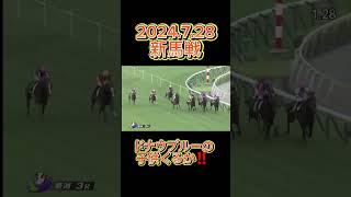 ドナウブルーの子供 勝利出来るか？新潟新馬戦 ディアナザール 新馬戦 新潟競馬場 [upl. by Mignonne841]