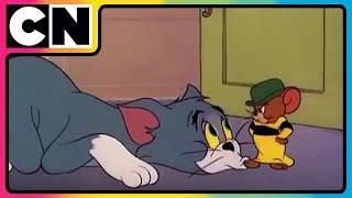 Tom amp Jerry 😺🐭  Million Dollar Chaos Faction  Cartoon for Kids  Only on Cartoon Network [upl. by Azerila]