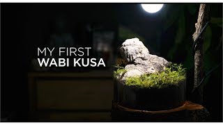 My first WABI KUSA a step by step tutorial [upl. by Serena521]