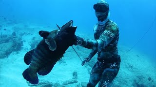 Hawaii Spearfishing  Of Man And Sea [upl. by Enahsal]