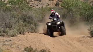 2017 Honda FourTrax Foreman Rubicon 4x4 ATV Review [upl. by Sirahc]