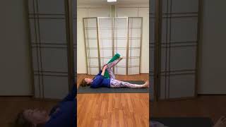 Osteoporosis Exercises Leg Stretches with Resistance Bands [upl. by Lantha572]