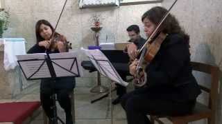 Tale as Old as Time Piano Trio  Piano Violin amp Viola [upl. by Bilek]