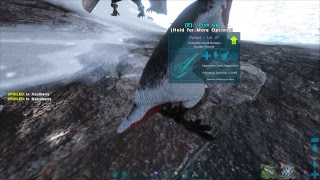 ARK Survival evolved Hesperornis golden eggs How to get them full explenation [upl. by Fineman]