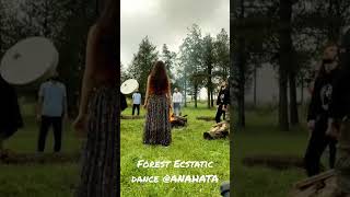 Forest ecstatic dance with shamanic drum [upl. by Naol]