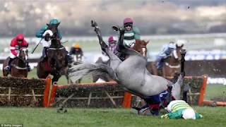 Top 5 worst jockey falls [upl. by Courcy]