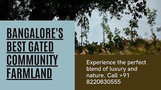 bangalores best managed farmland  buy fully managed farmland near bangalore  hosur farms [upl. by Hamforrd]