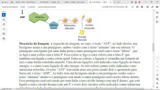 O ATP Adenosina Trifosfato é descrito como uma “moeda energética” por ser a molécula que fornece [upl. by Berty]