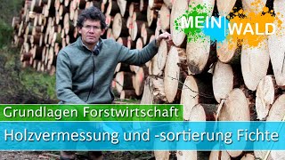 Holzvermessung und Holzsortierung bei der Fichte  Grundlagen [upl. by Abey618]