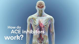 How do ACE inhibitors work [upl. by Nivar]