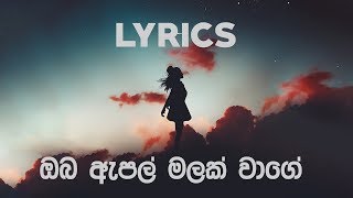 ඔබ ඇපල් මලක් වාගේ  Oba Apple malak wage  Amarasiri Peiris  LYRICS [upl. by Limaa306]