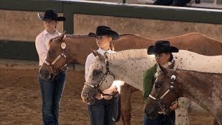 4H Horses  Iowa State Fair 2013 [upl. by Amil]