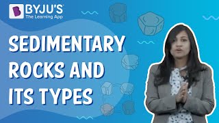 What Are Sedimentary Rocks And How Are They Formed  Class 5  Learn With BYJUS [upl. by Settle266]