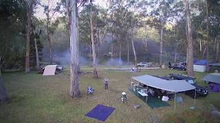 Gordon Country  Black Cockatoo  Pine Tree Grove Camping Area  Jun 2020 [upl. by Arawaj]