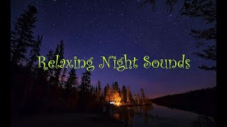 Relaxing Night Sounds [upl. by Scopp438]