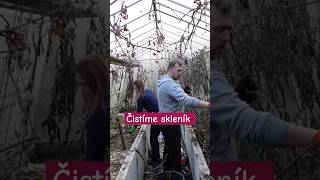 ČISTÍME SKLENÍK  PODZIMNÍ I JARNÍ PRÁCE NA ZAHRADĚ zahrada gardening farmar sklenik garden [upl. by Orva]