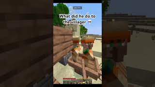 Minecraft Villager Moment [upl. by Rakso]