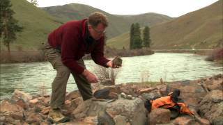 Roadside Geology  Yakima River Rocks [upl. by Adnahsal]