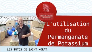 TUTO bassins et kois Lutilisation du Permanganate de Potassium [upl. by Irab]