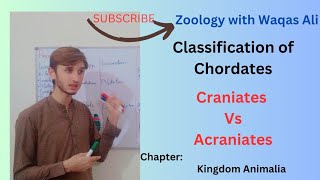 CLASSIFICATION OF PHYLUM CHORDATA CHORDATES [upl. by Aretse]