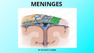 Meninges  Folds of Dura mater  Neurovascular supply  Neuroanatomy [upl. by Ellie]