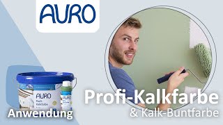 AURO Anwendung Kalkfarben und KalkBuntfarben [upl. by Alice]