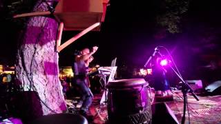 Shamans Dream Featuring Ixchel Prrisma amp Rara Avis at Beloved Festival 2014 [upl. by Shornick67]