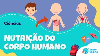 O Corpo Humano  Nutrição do Corpo Humano  Ciências [upl. by Immak]