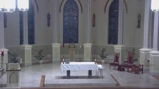 November 8 2024 at 800 am Catholic Mass from St Philip in Vacherie LA [upl. by Dearr]