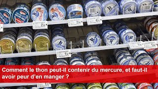 Comment le thon peutil contenir du mercure et fautil avoir peur d’en manger [upl. by Dylane950]