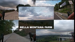 Bella Montana Farm  New Clark City Pampanga  Everyday ANNventures [upl. by Eirrehs]