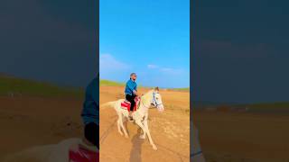 Epic Horse Riding Experience  Horse Riding for Fun and Freedom [upl. by Oys]