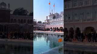 Dhan Shri Guru Ramdas Sahib Ji darbarsahib hukamnama travel youtubeshorts trending [upl. by Elnar136]