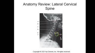 Cervical amp Thoracic Spine Anatomy Part 6 of 7 [upl. by Ozan798]